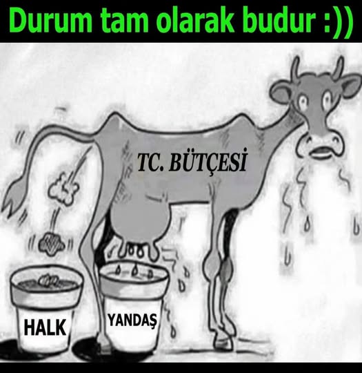 SİLKTİ