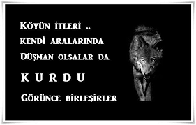 GAKGOŞ EMMİ