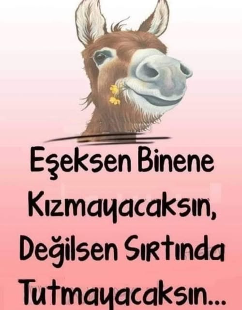 VEFA