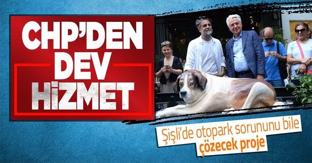 ALKIŞ ALKIŞ