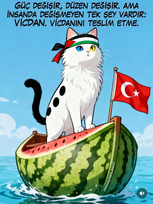 SON SÖZ
