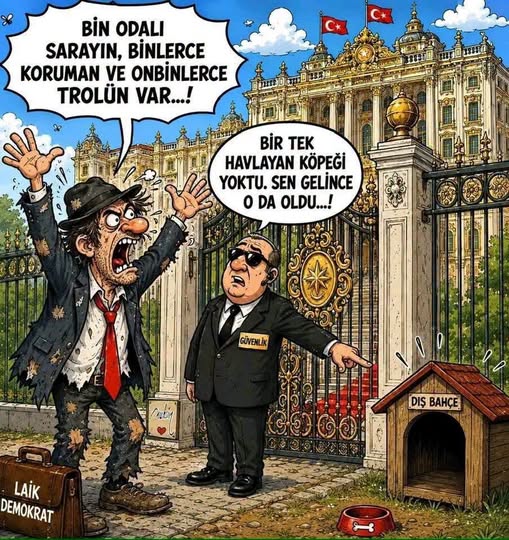 TEMEL SORUN