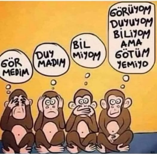 NE GÖRDÜM NE DUYDUM
