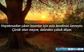 Next Post Image