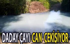 DADAY SEYDİLER ÇAYI