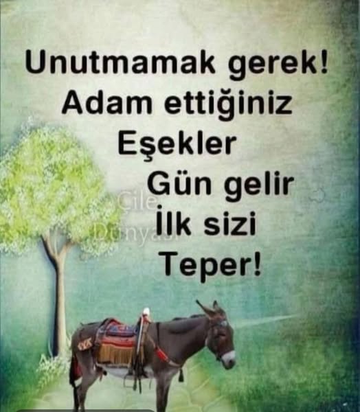 GAKGOŞ EMMİ