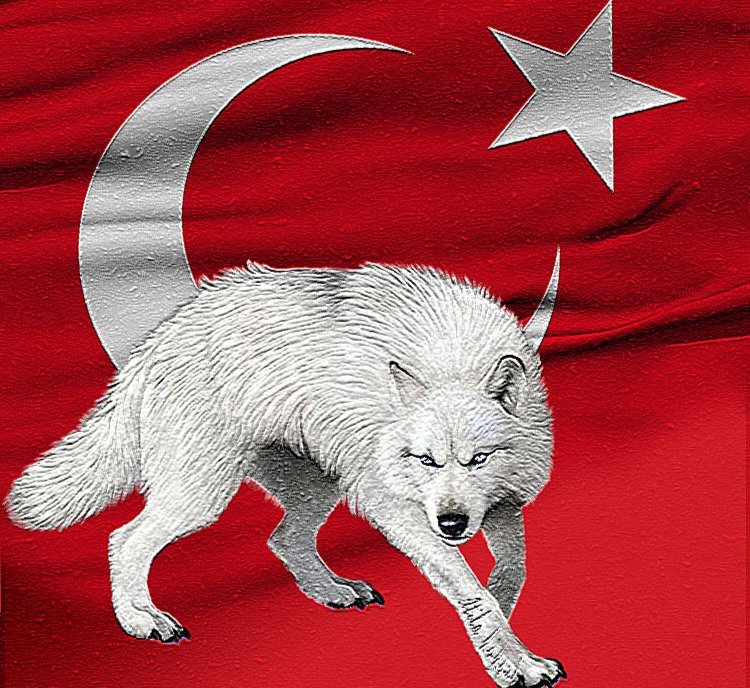 TEMEK