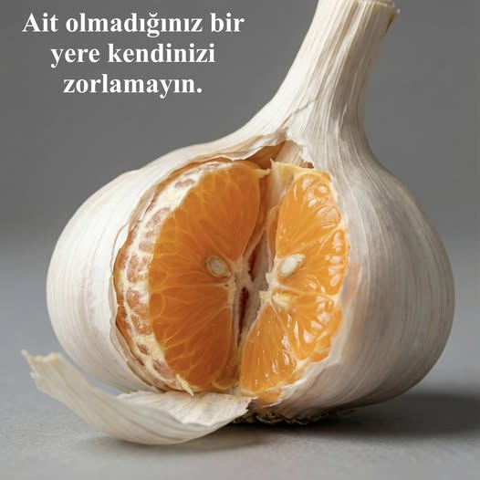 AYRILMA SÜRÜDEN YARINI VAR