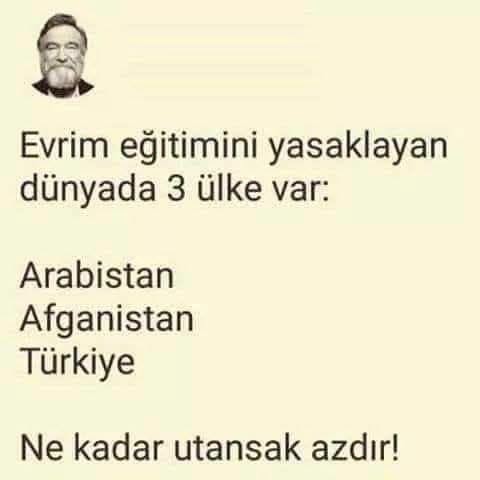 KABADAYI