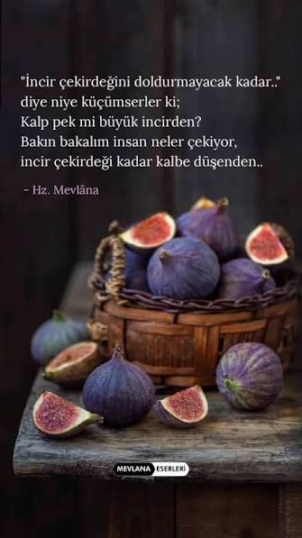 İNCİR ÇEKİRDEĞİ