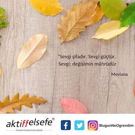 SEV DOSTUM