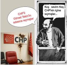 SIÇTI İÇİNE